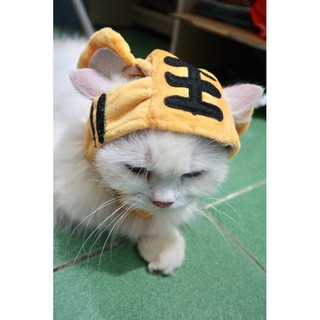 Mũ Đội Cute Cho Thú Cưng