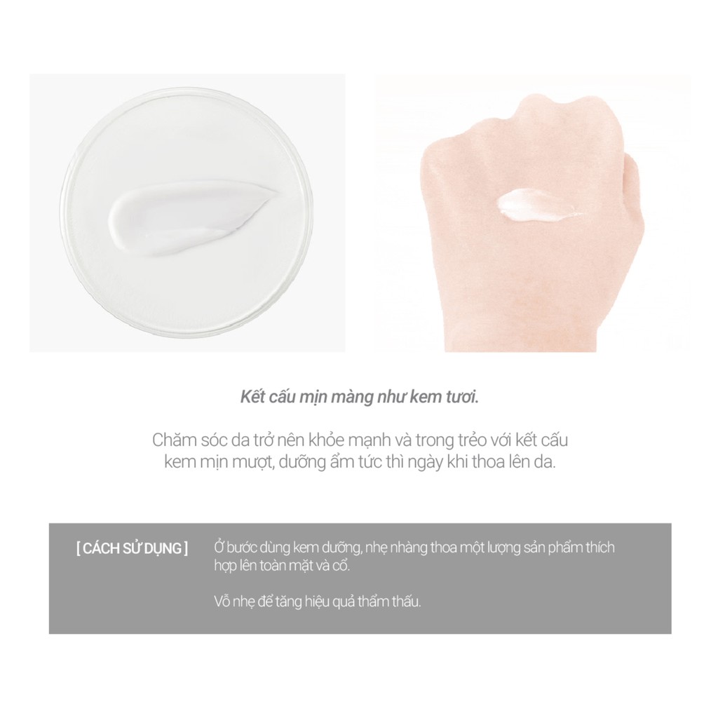 [Mã FMCGMALL -8% đơn 250K] Kem dưỡng cân bằng độ ẩm innisfree Green Tea Balancing Cream Ex 50ml | BigBuy360 - bigbuy360.vn