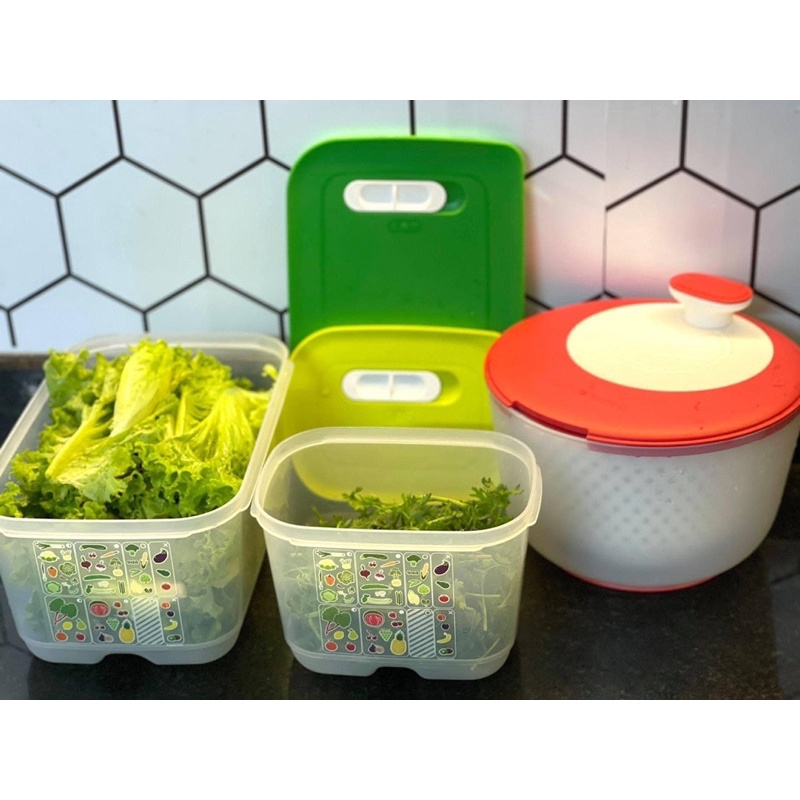 SET 4 HỘP VENT  TUPP VIỆT ♻️