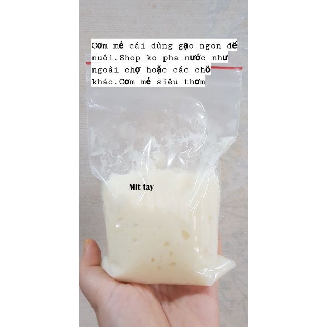 Cơm Mẻ  100Gram, Mẻ Chua Nhà Làm Mẻ chua Gạo Lứt