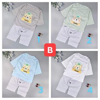Combo 3-4 bộ lửng cotton giấy