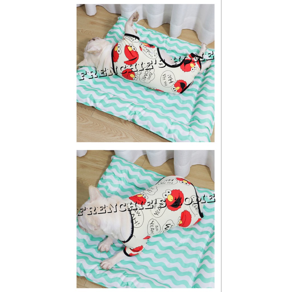 BỘ BODYSUIT "ELMO ĐỎ" CHO CHÓ BULL/PUG ( FRENCHIE'S BODYSUIT ) | BigBuy360 - bigbuy360.vn