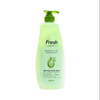 Dầu gội, dầu xả fresh tinh dầu bưởi và tính chất lá neem 550g