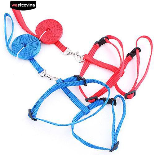 Dây xích cổ bằng nilon màu sắc đáng yêu cho mèo