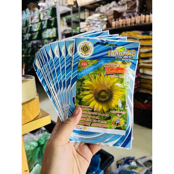 Hạt Giống Hướng Dương Vàng Cây Trung Thái Lan