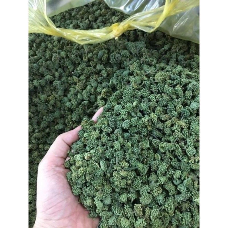 100g nụ tam thất thơm ngon y hình
