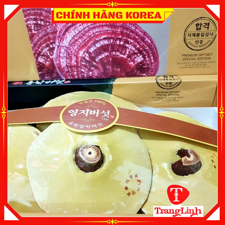 Nấm linh chi hàn quốc thượng hạng - Nấm hộp quà 1kg giúp thải độc gan, thanh lọc cơ thể - tranglinhkorea