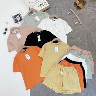 Bộ đùi ( Bộ cotton chất đẹp- Hàng loại 1 )