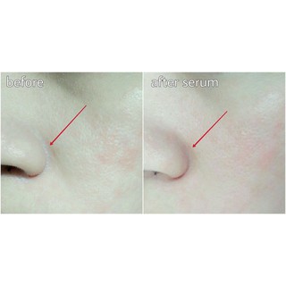 Serum Innisfree Green Tea Seed