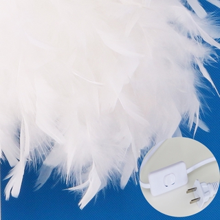 Table lamp / Night light with lovely feathers, 220V, ON / OFF