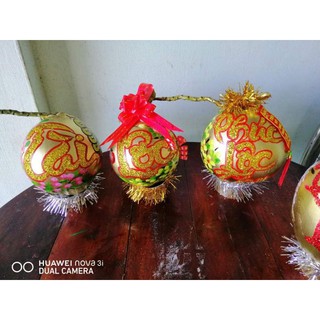 Dừa vàng chưng tết, dừa thư pháp.