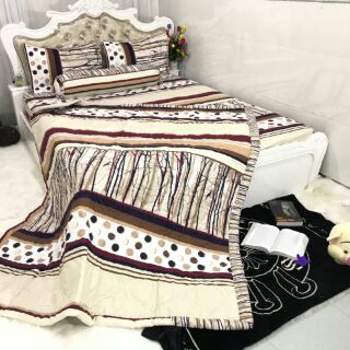 Cotton Hàn Quốc
