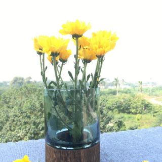 Lọ hoa thủy tinh dáng trụ, đế gỗ