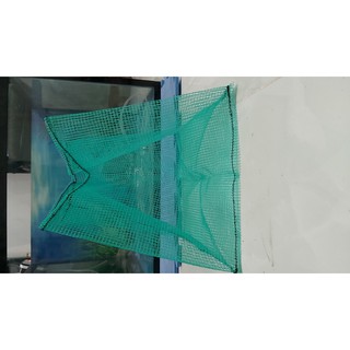 Lồng đẻ guppy