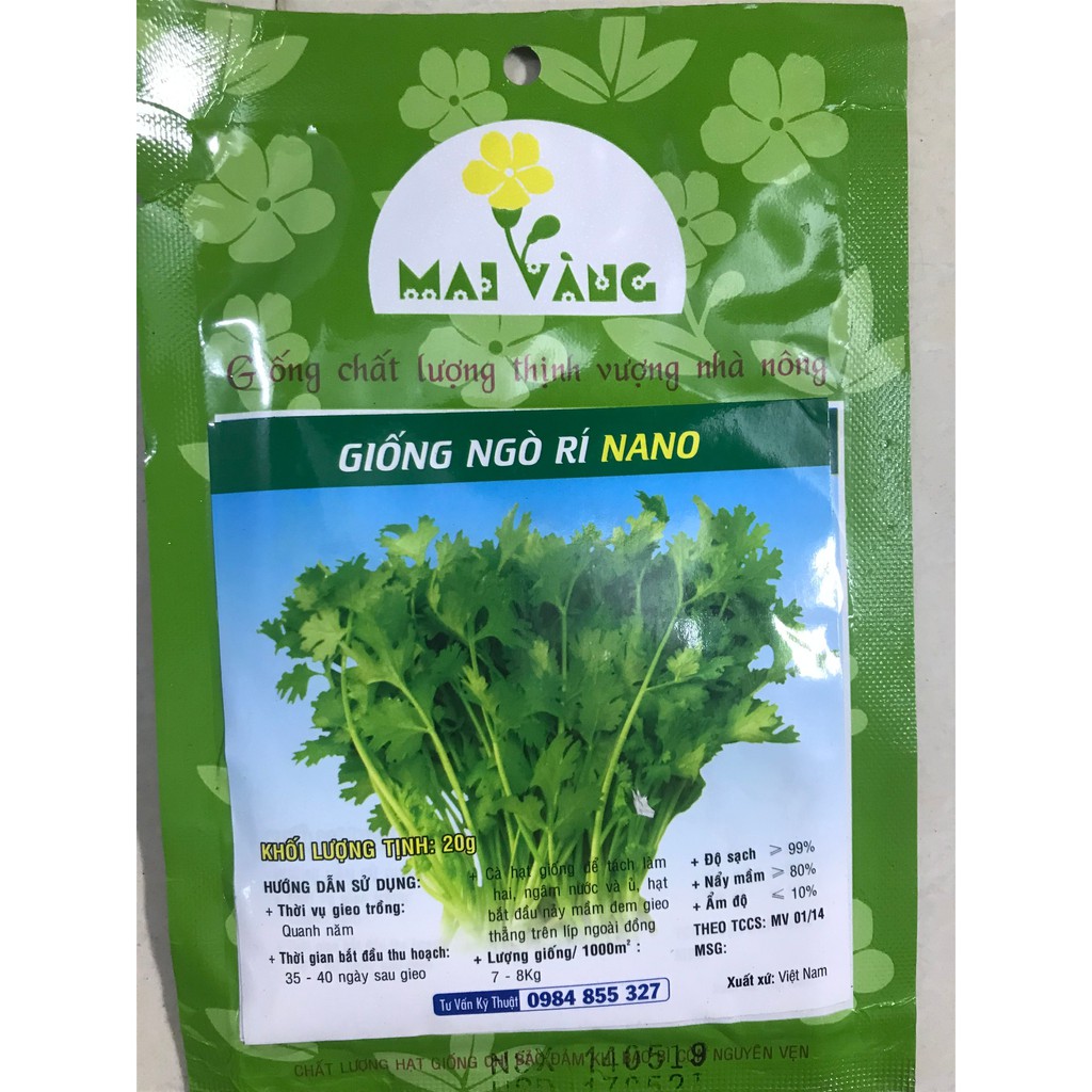 Hạt giống Ngò rí 20g