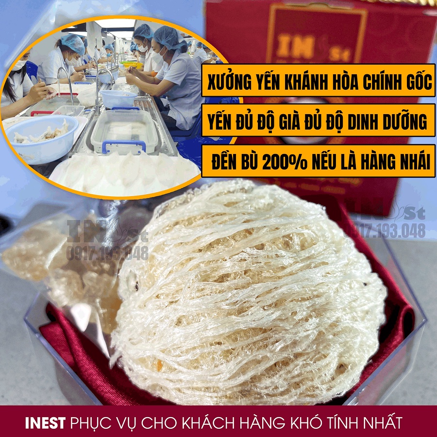 Yến Tinh Chế Sợi Dài + Chân Yến Tinh Chế Nguyên Chất 100% Siêu Nở Khánh Hòa INest