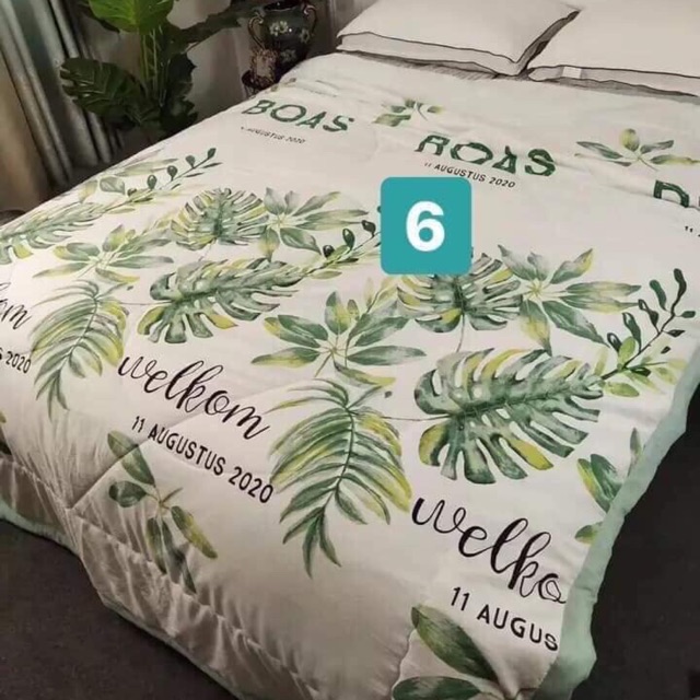 Chăn đũi thu đông