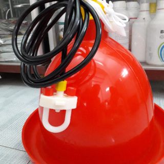 Máng uống tự động cho gà vịt thái lan