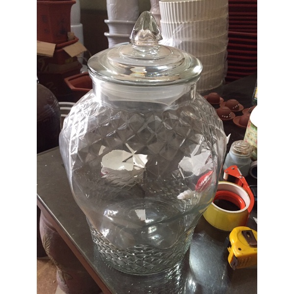 Bình thủy tinh ngâm rượu 10l
