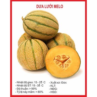Hạt giống Dưa lưới Melo (ruột vàng) 10H