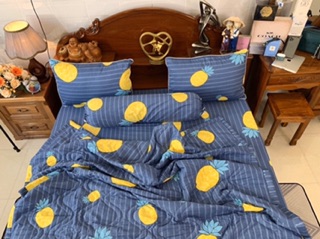 Drap cotton Hàn Quốc