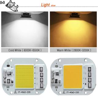 AC 220V 20W/30W/50W Free Driver High Pressure LED Chip COB Light Source