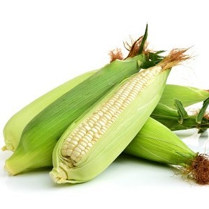 Hạt Giống Bắp Nếp Trắng, Nếp Nù Dễ trồng nhanh lên