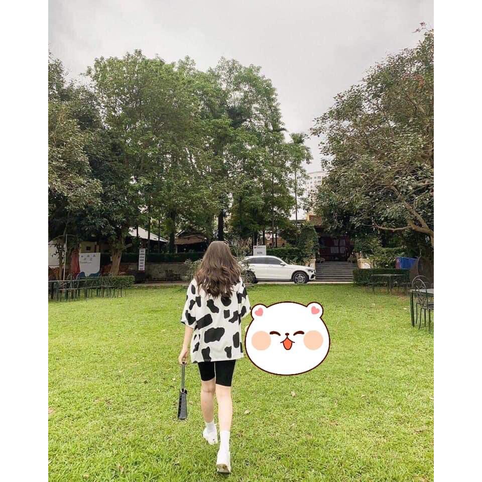 Sét áo phông bò sữa + quần legging ngố HARI0421 | BigBuy360 - bigbuy360.vn