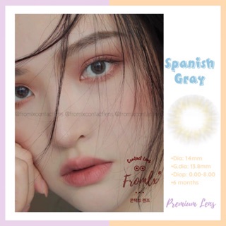 Kính áp tròng Spanish Gray (6 tháng)