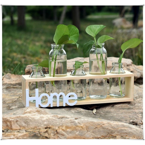 Set 5 lọ thủy tinh cắm hoa kèm giá gỗ