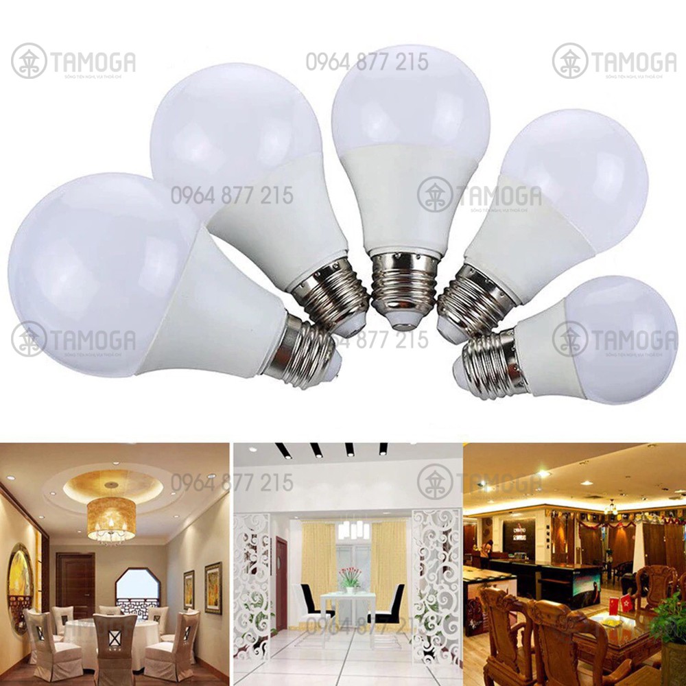Bóng đèn LED BULB 3W, 5W, 9W - Bảo hành 2 năm BD 1010