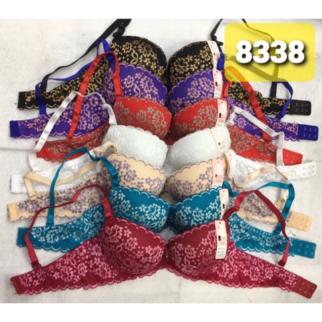 Áo ngực (8338) mút dày cài sau 2 móc