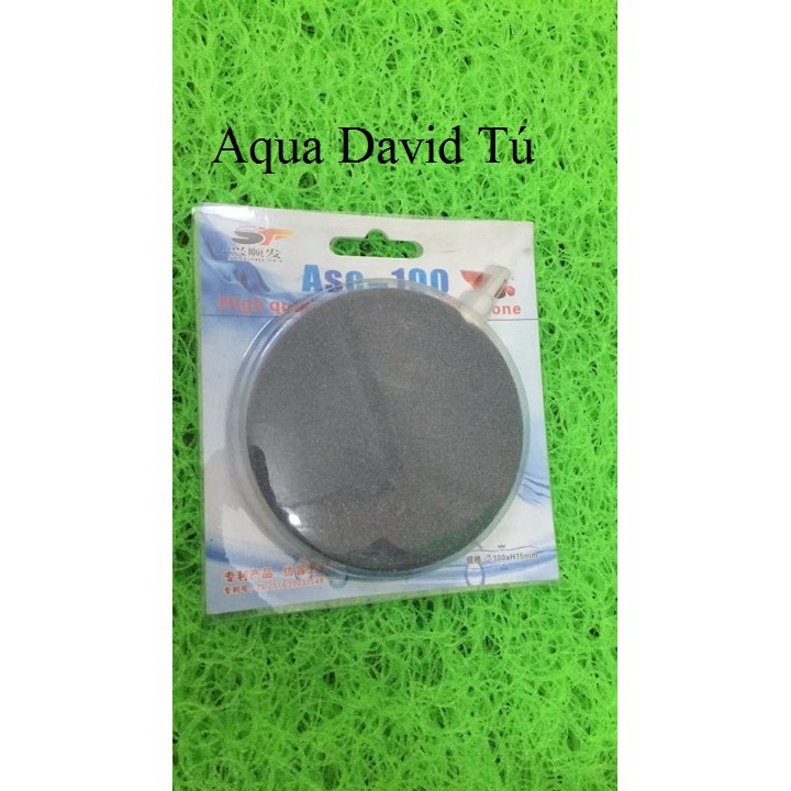 Quả Sủi Đĩa Dành cho Bể Cá Cảnh