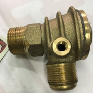 Van một chiều (Luppe)  dành cho máy nén khí loại lớn