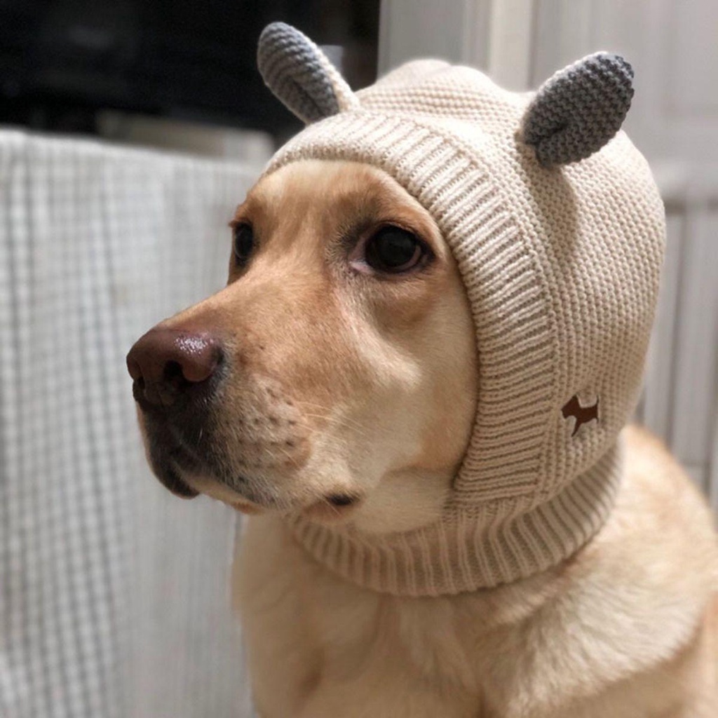 Mũ Beanie Mềm Mại Cho Thú Cưng