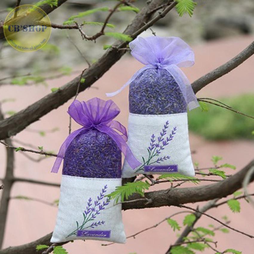 Gói Nụ Hoa Lavender