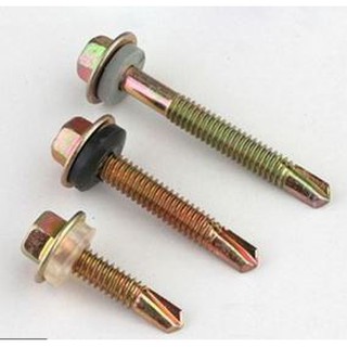 Bộ 30 con Vit tôn M5 (5.5mm) Inox