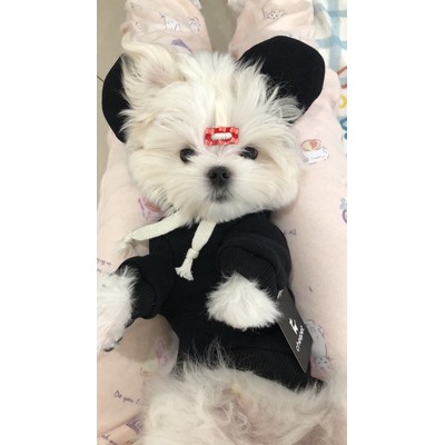 Cheepet Áo nỉ Hoodie Mickey cho chó mèo / Thú cưng