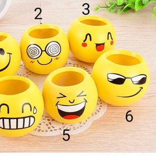 Chậu trồng cây mini để bàn