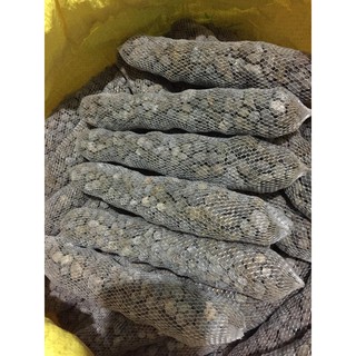 combo 30 túi phân dê ủ nấm trichoderma dài 20 cm