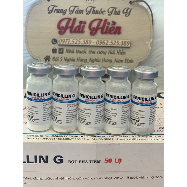 5 lọ penicillin - dùng tốt cho trâu, bò, ngựa, heo, chó, mèo, gia cầm