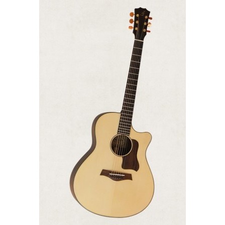 Acoustic Guitar Việt Nam Taylor D400 sơn PU mờ