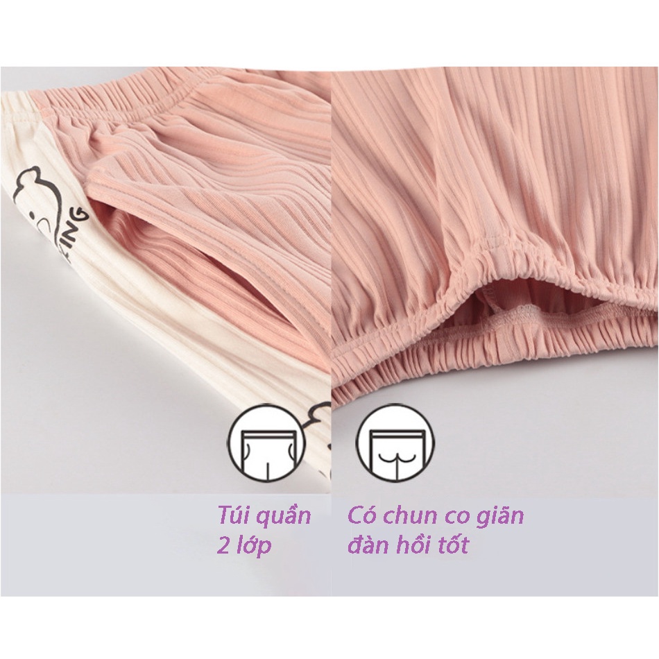 Đồ bộ nữ pijama mặc nhà cotton cao cấp tay dài nhiều màu đẹp - CTD1 | WebRaoVat - webraovat.net.vn