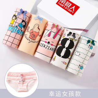 [gom order] combo 8 quần chip cotton kháng khuẩn