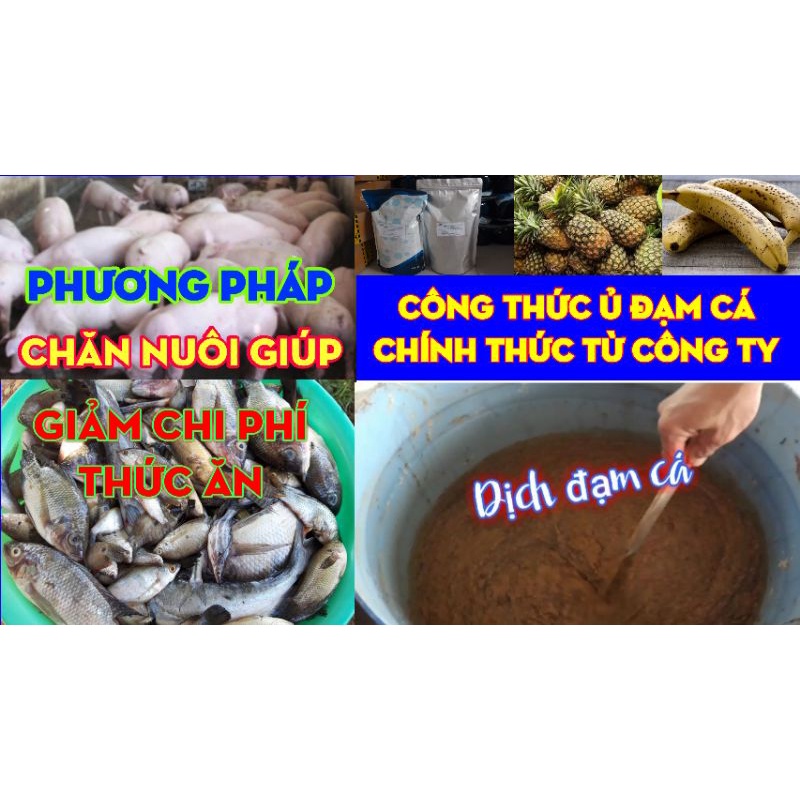 Men ủ tỏi, ủ men thứ cấp BIO PHƯƠNG NAM