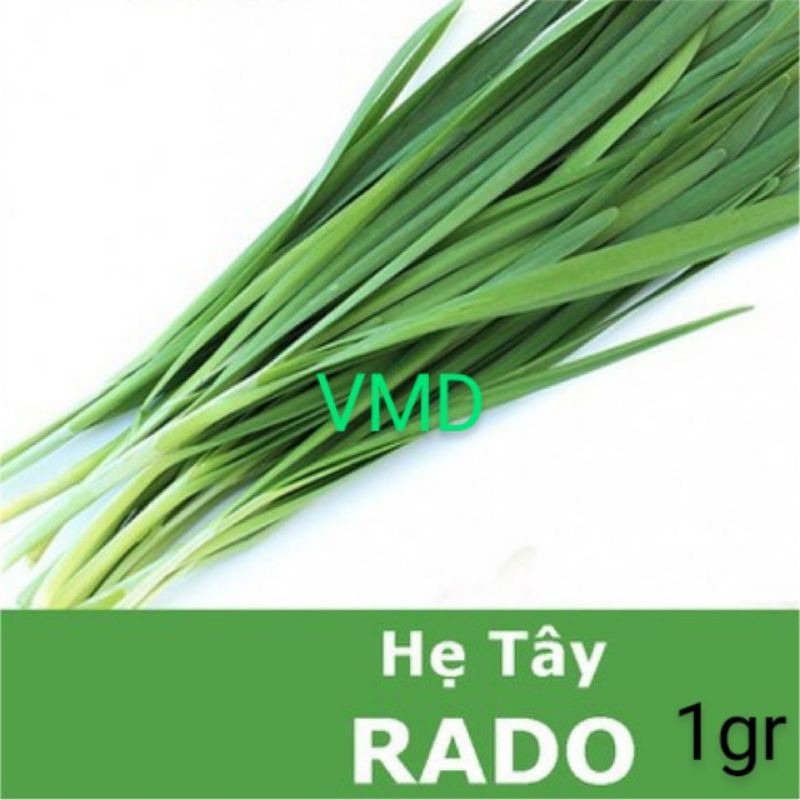 Hạt giống Hẹ Tây