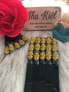 Hoa cúc 10 cánh