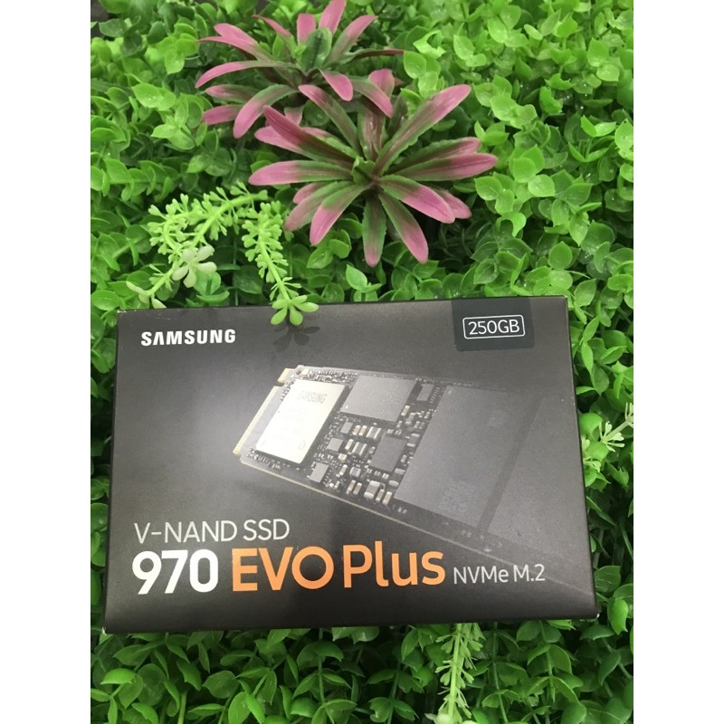 Ổ cứng SSD Samsung 970 EVO Plus 250GB M.2 PCIe NVMe 3x4 (Đọc 3500MB/s - Ghi 2300MB/s)