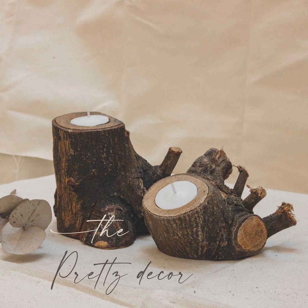 Chậu Khúc Gỗ Tự Nhiên Dáng Cổ Thụ Trồng Cây, Decor, Trang Trí Vintage