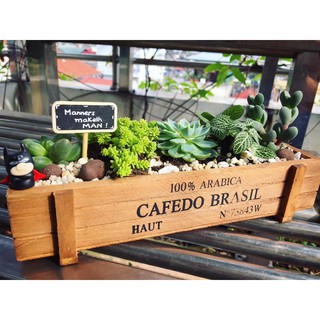 set nguyên liệu chậu gỗ sen đá mix